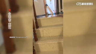 台南暴雨！民宅陽台水灌屋內　樓梯慘變「滑水道」