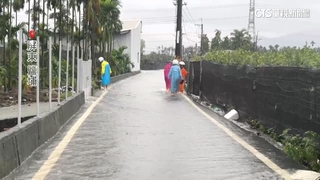 檸檬園整片泡水！　農民勘災手機落水遭沖走