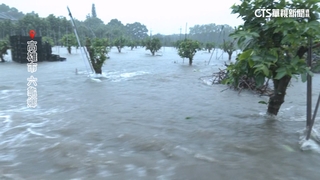 六龜大津里土石流！　農民急採收檳榔　盼損失降最低