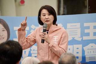 再爆大支、曹興誠、楊力州也是文總執委　王鴻薇：球員兼裁判