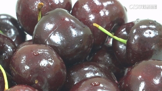 價格跳水！　中關稅衝擊　美櫻桃轉銷台港越