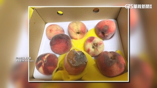 買4盒拉拉山水蜜桃　開箱驚見3/4都爛掉