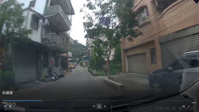 放任愛犬亂跑到馬路遭車輾斃！　新北動保處裁罰飼主、駕駛各1.5萬 | 華視新聞