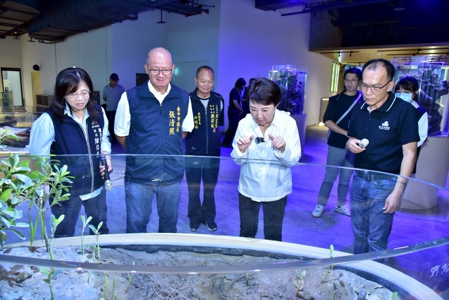 台中海洋館8/21正式對外營運　門票8/8線上開搶、全票種8折優惠 | 華視新聞