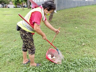 分隔島「長香菇」員警到場摘除　高雄市府：可通報1999或連繫公園處清除