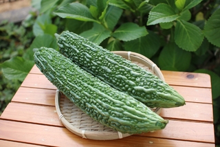 苦瓜也有不苦的？農糧署曝「1品種」苦味少　3撇步正確挑瓜