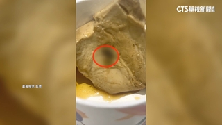 球員控伙食吃到「蒼蠅.活蛆」　樂天：要求廠商改善