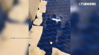 郵輪旅遊房間慘淹　客怒控消極處理無道歉　業者未回應