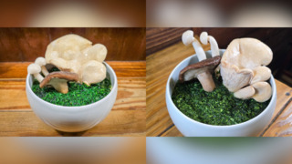 Have a 菇 Day　拉麵公子推「高雄安全島拉麵」　今明兩天限量販售