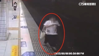 不看路！板橋車站月台旅客邊走邊盯手機　踩空跌落軌道