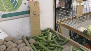 豪雨重創價飆漲！小黃瓜每公斤250元　涼麵店「吃不消」