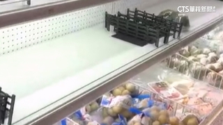 楊柳颱風進逼！　民眾「預期心理」各大賣場湧買菜人潮掃空貨架