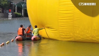 防颱大作戰！　童玩節明休園　賞鯨船午後停航