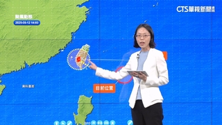 楊柳路徑似小犬！　東部恐颳14級以上強陣風