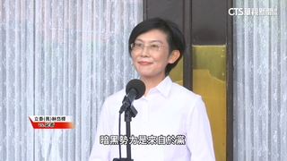 林岱樺指暗黑勢力結合檢調攻擊喊「戰到底」　同黨不回應