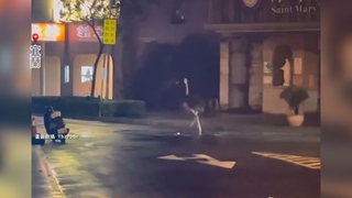 颱風前奇景！　宜蘭驚見「鴕鳥路上狂奔」   網笑翻：換車道沒打方向燈