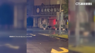 羅東街上驚見鴕鳥狂奔　飼主：疑被雷聲嚇到出走