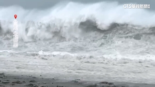楊柳逼近　綠島樹叢跳草浪舞.阿朗壹海水倒灌