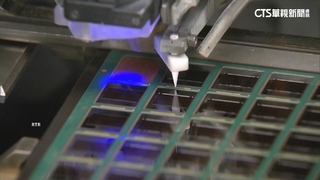 輝達.超微輸中晶片分潤美　白宮：可能擴及其他公司