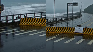 台東金崙大橋出現猴子觀浪　網熱議：看到是真的還有點不習慣