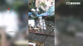 楊柳過境！　蘭嶼掀17級陣風　招牌帆布飛.樹木攔腰斷