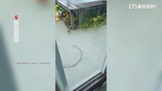 豪雨灌恆春　民宿陽台成泳池　業者自嘲：「沉浸式」體驗