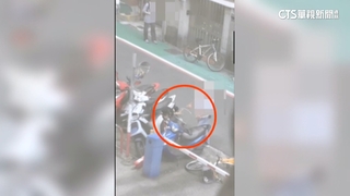 挪桌椅嗆「看什麼」又跟拍　2男牛肉麵店外衝突互毆