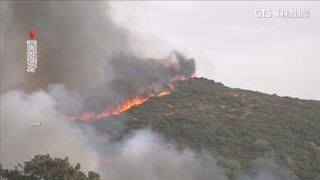 野火侵襲南歐！　希臘.西班牙多國陷入火海