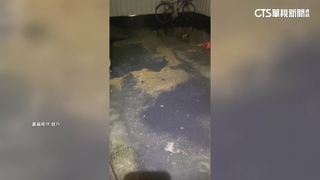 高雄建商施工封渠道！　油汙水積淹　巷弄飄散油臭味