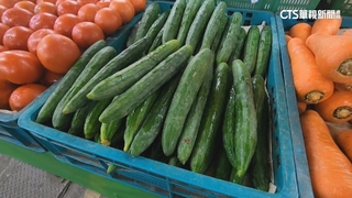 蔬果產地.批發價已跌　市場還是貴　批發商：高價進貨沒賣完