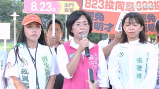 綠營誰戰新北？傳林右昌萌退意　蘇巧慧：不論人選一起努力