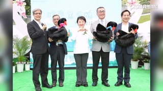 傳李四川曾挺盧秀燕選黨主席　李乾龍：能為藍拉抬聲量