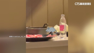 料理「鼠」王爬上桌！大啃高麗菜　火鍋業者致歉