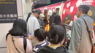 尖峰時段擠不上！高鐵「指定車次自由座」　最快明年上路