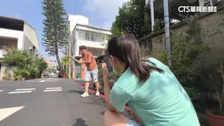 「突破天際樹」暴紅！　巷弄內5層樓高南洋杉成打卡熱點