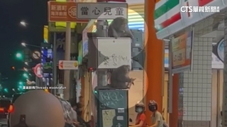 高雄獼猴下山搶冰吃　周邊店家：非首次.防不勝防
