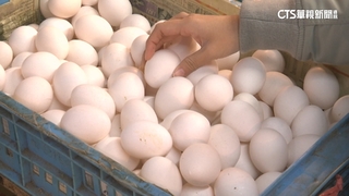 蛋價再漲2元！　批發價每台斤46元　近3個月新高