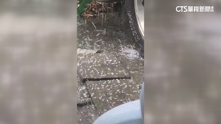 「冷心低壓」來襲！　對流旺盛　梨山.阿里山下冰雹