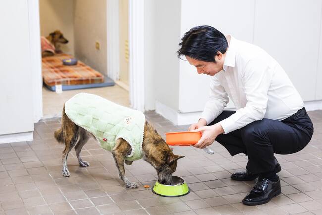 國際狗狗日快樂！賴清德曬愛犬「斑斑」：動物保護不分國界 | 華視新聞