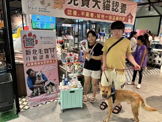 七夕不孤單！　犬貓認養大會8/30、31在新北　搭起緣份橋樑