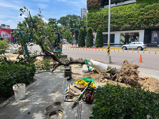 台中市民廣場路樹遭移除！為了爵士音樂節？　市府駁：改善行人動線 | 華視新聞