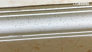 30年中古屋蛀蟲孔遍布天花板　前屋主遭判賠4萬4