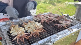 漁獲量差.中國搶購！阿根廷魷魚短缺　價格恐再漲