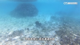 吸引台灣遊客到訪！　沖繩潛水業者多主打「中文教學」