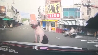 車禍碰撞索賠38萬！駕駛母控「碰瓷」　騎士：受傷難爬梯