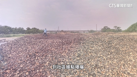 廢菱角殼化身烏金「菱殼炭」 除臭.淨化功能多樣