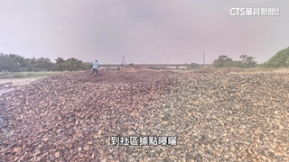 廢菱角殼化身烏金「菱殼炭」　除臭.淨化功能多樣