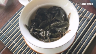 爬山生吃野菜中毒！　台東3姐妹誤認在茶藝館「茶醉」