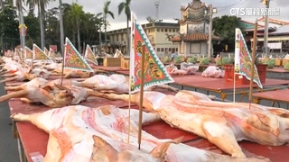 東石港口宮第180年普渡　準備逾200隻神豬場面盛大