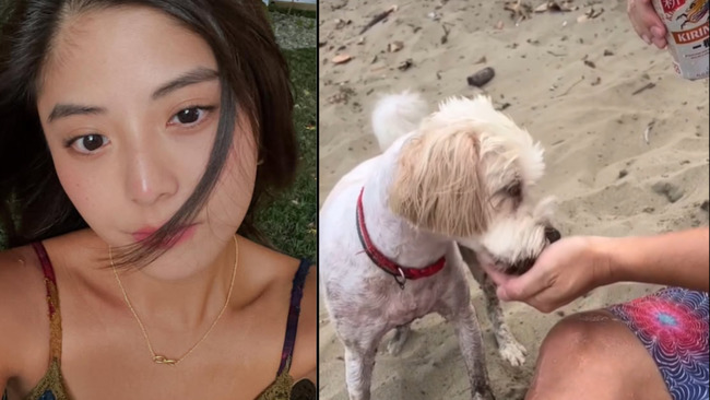 若盈拍餵狗喝酒影片 還稱「喝醉後一直狂吠」　網氣炸：狗狗沒辦法代謝酒精 ！ | 華視新聞